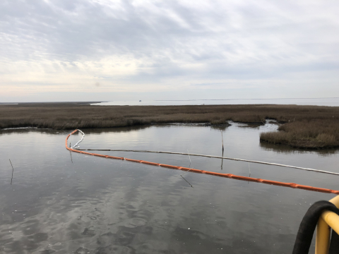 Oil in a marsh area.